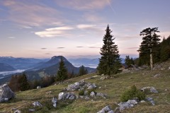 Abendliche-Stimmung-auf-der-Steiner-Hochalm Chris-Thomas.JPG